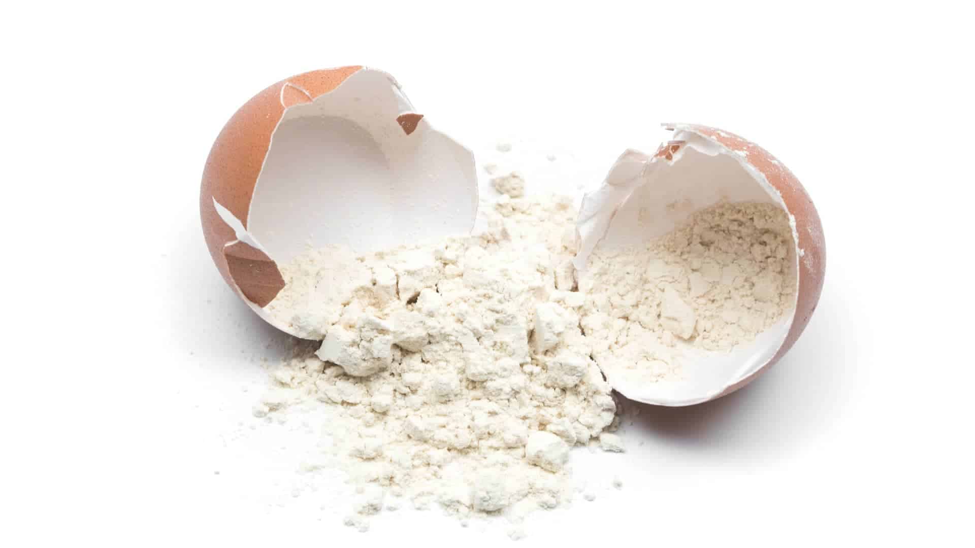 Why We Need Protein Muskoka Mornings